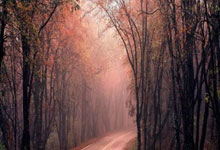 热那亚逆转战胜乌迪内斯,终结连败