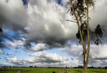 非洲顶尖球员获赛季最有价值球员称号