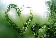 韦根晋级欧国联强,历史性时刻