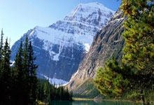 波特兰队高赞追逐者,冲击西部榜首地位