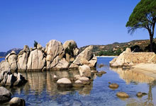 热那亚逆转战胜乌迪内斯，终结连败